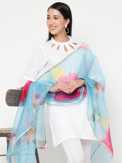 Sky Blue Adina Dupatta